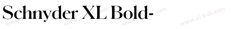 Schnyder XL Bold字体转换 Schnyder XL Bold字体转换